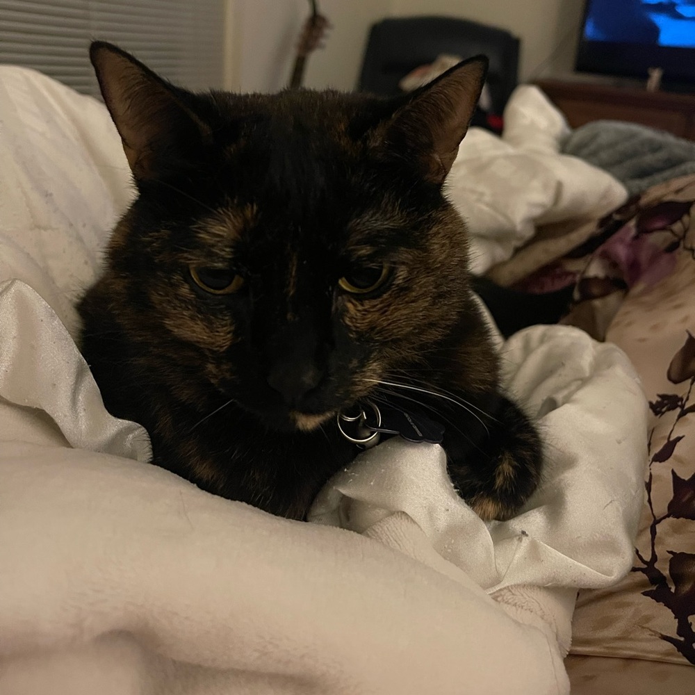 Meet your Posher, Kelcie